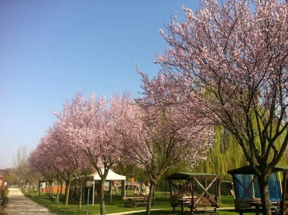 Agriturismo Tre Rondini Legnago Exterior photo